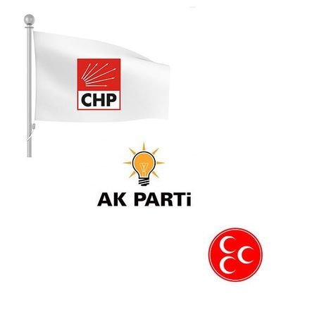 Parti bayrağı